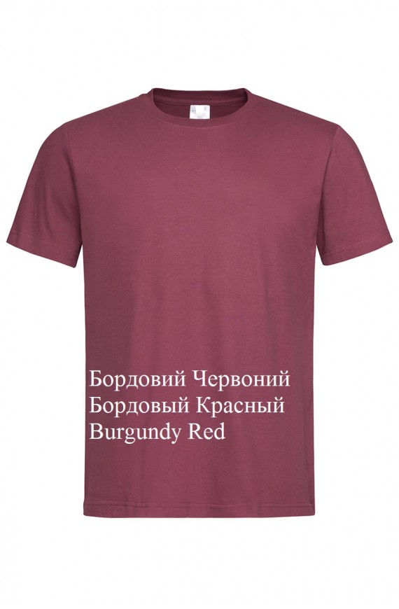 футболка чоловіча з круглим вирізом